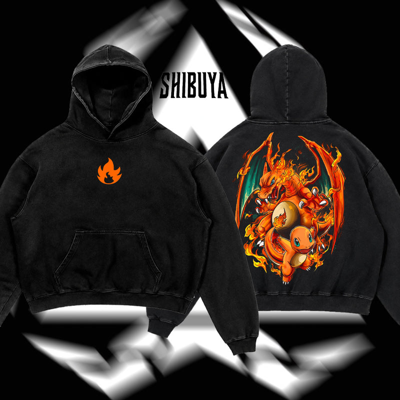Pokemon - Charizard & Charmander Fire Evolution