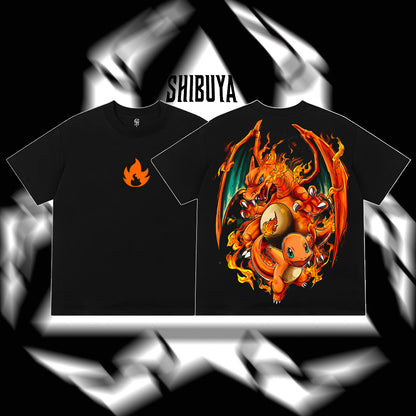 Pokemon - Charizard & Charmander Fire Evolution