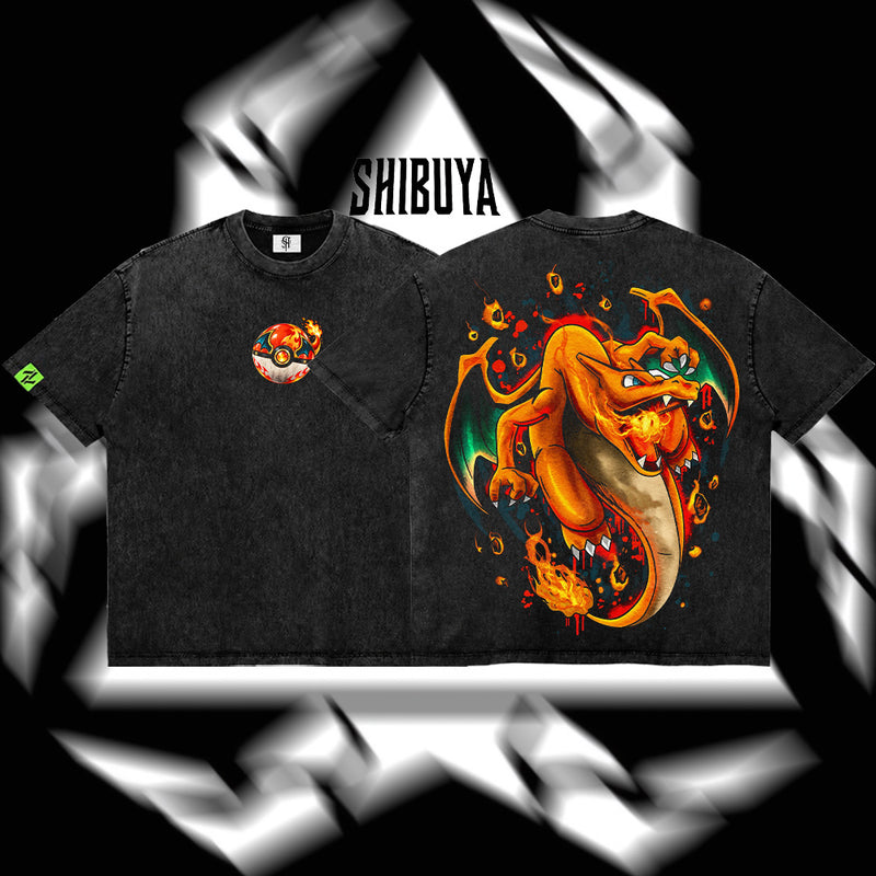 Pokemon - Charizard