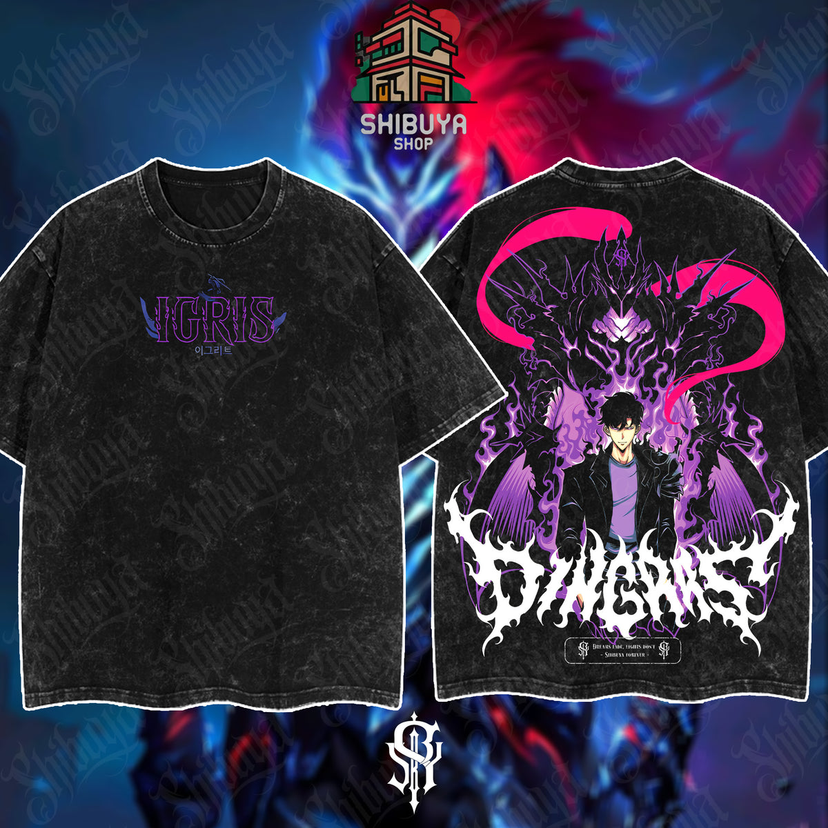 Solo Leveling - Igris Shadow Knight